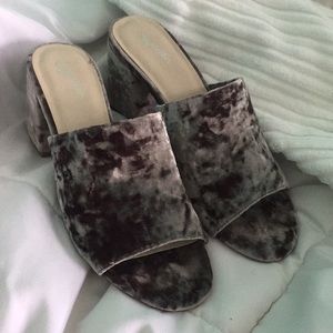 Seychelles Velvet Mule